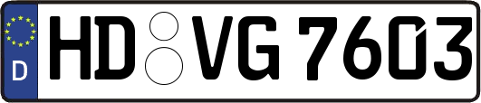 HD-VG7603