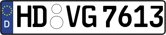 HD-VG7613