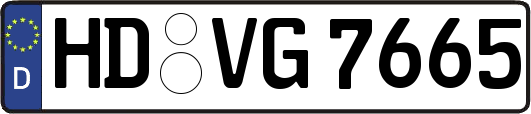 HD-VG7665