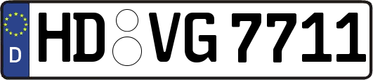 HD-VG7711