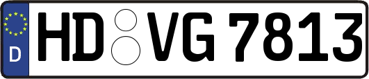 HD-VG7813
