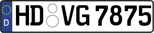 HD-VG7875