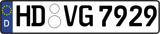 HD-VG7929