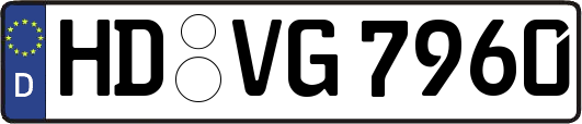HD-VG7960