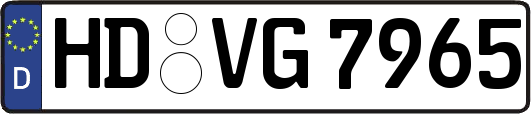 HD-VG7965