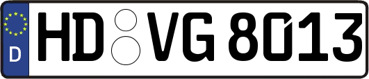 HD-VG8013