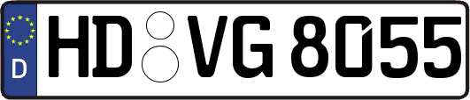 HD-VG8055