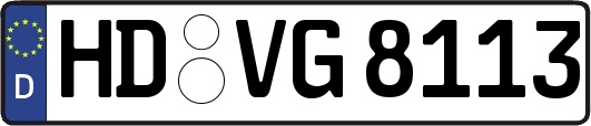 HD-VG8113