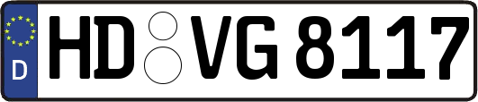 HD-VG8117