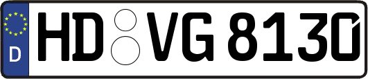 HD-VG8130
