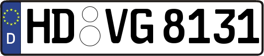HD-VG8131
