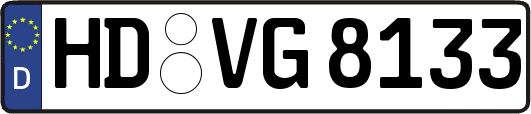 HD-VG8133