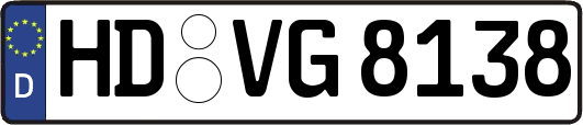 HD-VG8138