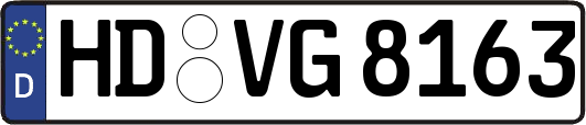 HD-VG8163