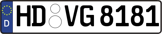HD-VG8181