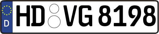 HD-VG8198