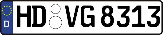 HD-VG8313