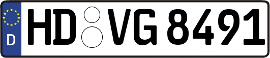 HD-VG8491