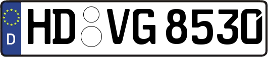 HD-VG8530