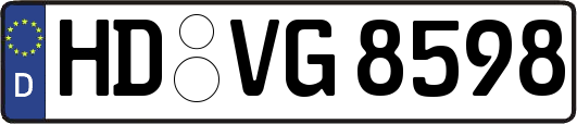 HD-VG8598