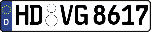HD-VG8617