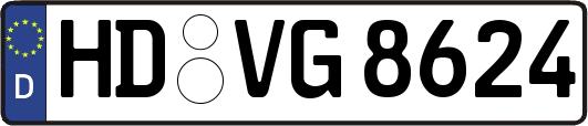 HD-VG8624
