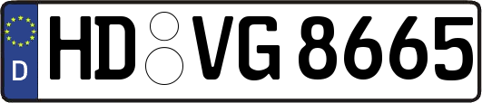HD-VG8665