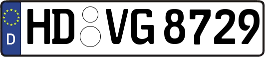 HD-VG8729