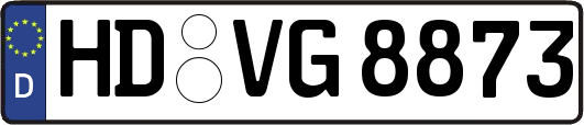 HD-VG8873