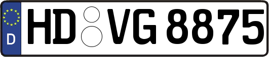 HD-VG8875