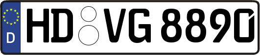 HD-VG8890