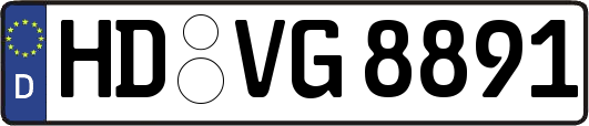 HD-VG8891