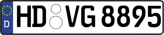 HD-VG8895