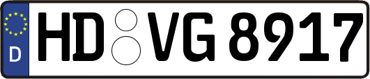 HD-VG8917
