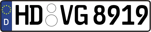 HD-VG8919