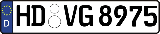 HD-VG8975