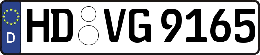 HD-VG9165