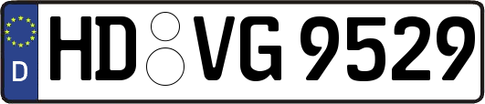 HD-VG9529