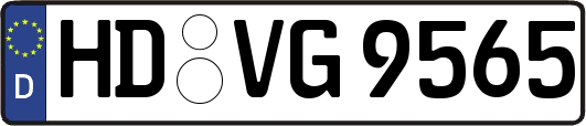HD-VG9565