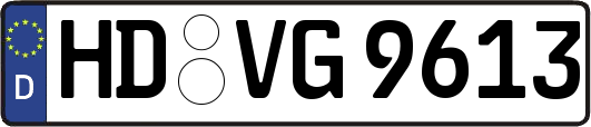 HD-VG9613