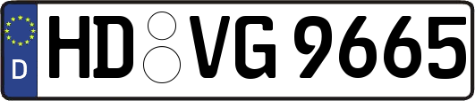 HD-VG9665
