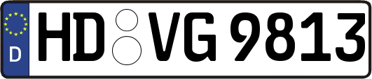 HD-VG9813