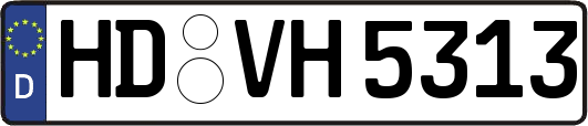 HD-VH5313