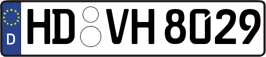 HD-VH8029