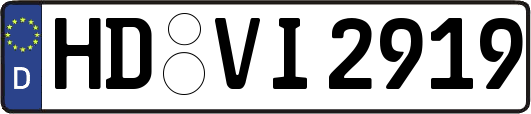 HD-VI2919