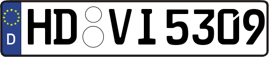 HD-VI5309