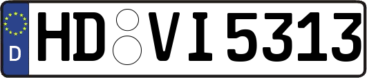 HD-VI5313