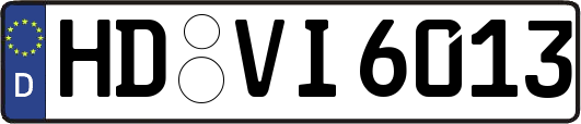 HD-VI6013