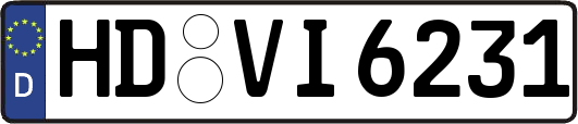 HD-VI6231