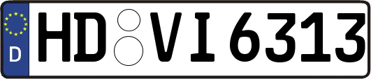 HD-VI6313